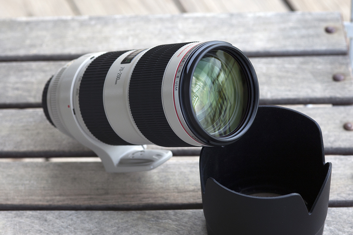 IMAGE: http://www.bertuccelli.com/70-200-1r.jpg