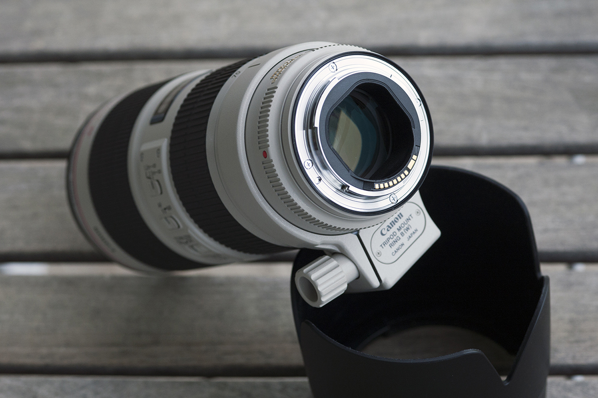 IMAGE: http://www.bertuccelli.com/70-200-2r.jpg